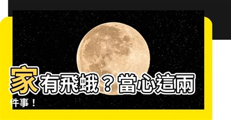 家中有蛾|【家中飛蛾】家中的飛蛾危機：快速解決室內惱人小飛蛾